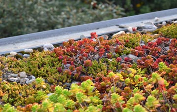 the cost of Low Hauxley green roof installation