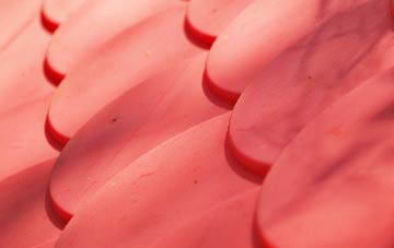 Low Hauxley plastic roof costs