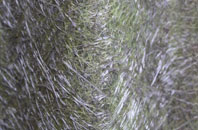 Low Hauxley fibreglass roof work